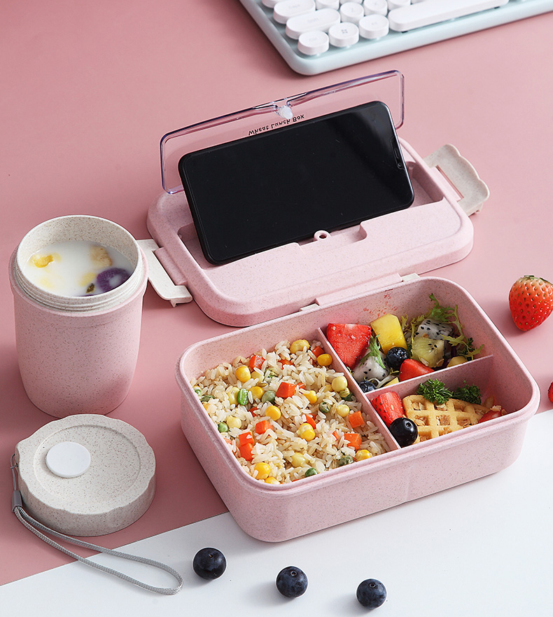 eco friendly food container bento lunch box Microwave heated lunch