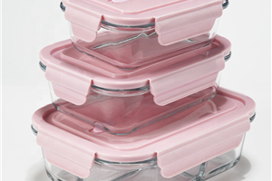 Glass lunch box