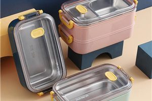 Stainless Steel Lunch Box