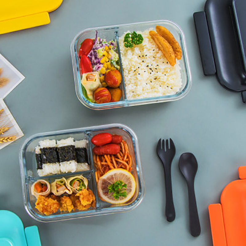 reducing-single-use-plastic-plastic-lunch-box-alternatives-for-a
