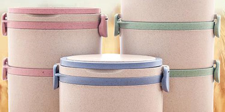 Creative and Healthy Lunch Ideas for Plastic Lunch Boxes | lunch box