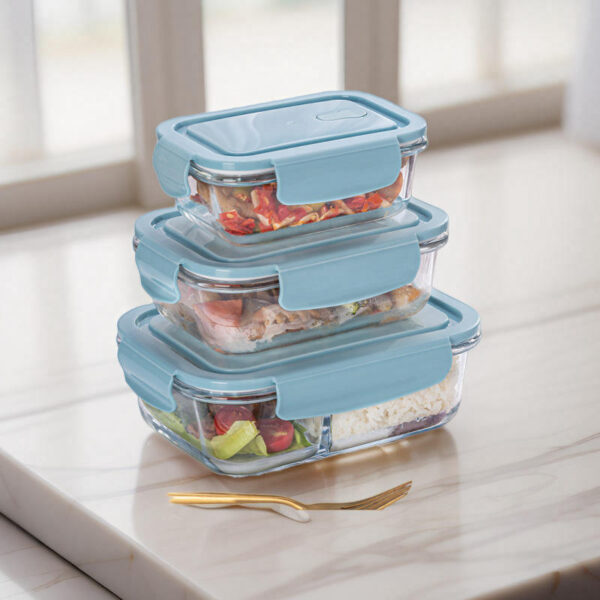 borosilicate glass lunch box with lid