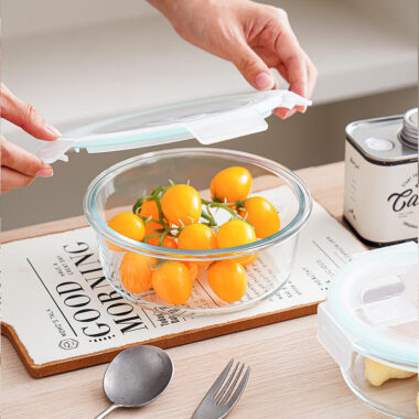Partitioned borosilicate glass lunch box