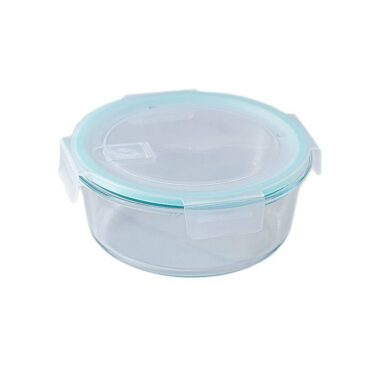 Partitioned borosilicate glass lunch box