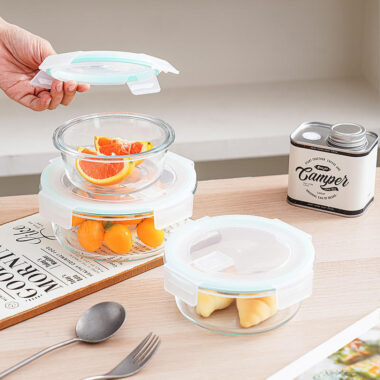Partitioned borosilicate glass lunch box