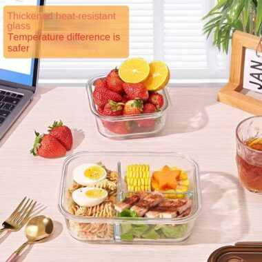 borosilicate glass lunch box