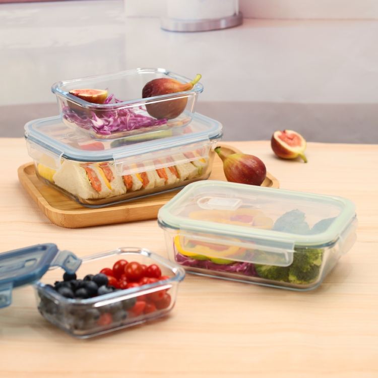 Microwave Glass Takeaway Lunch Box