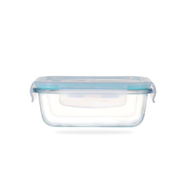 Reusable borosilicate glass food storage container